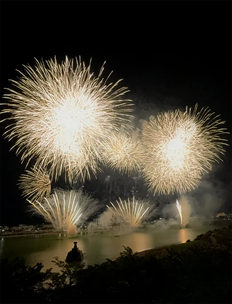 サマーブロッサムナイト夏花火